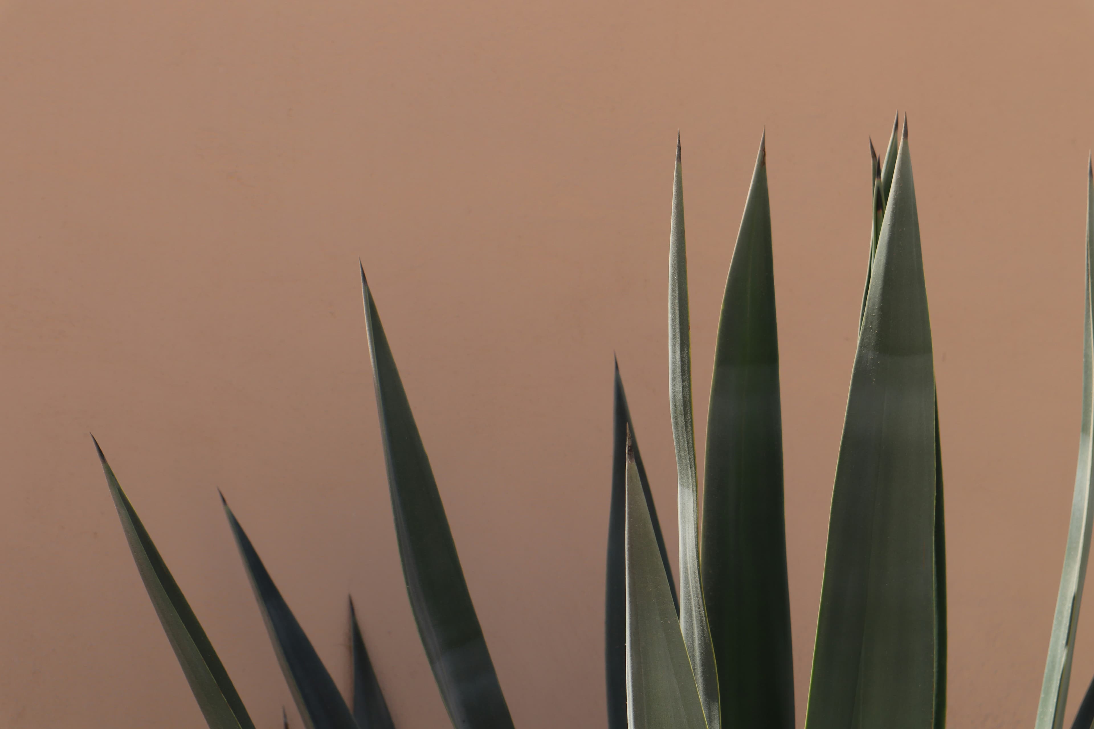 Birotojob Academy campus